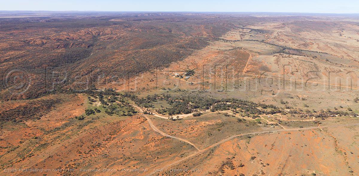 Peter Bellingham Photography Ravendale Station - Mutawinji NP - NSW T (PBH4 00 8955)